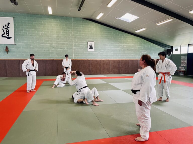 Retour sur le stage de Ne-Waza du 26 Avril